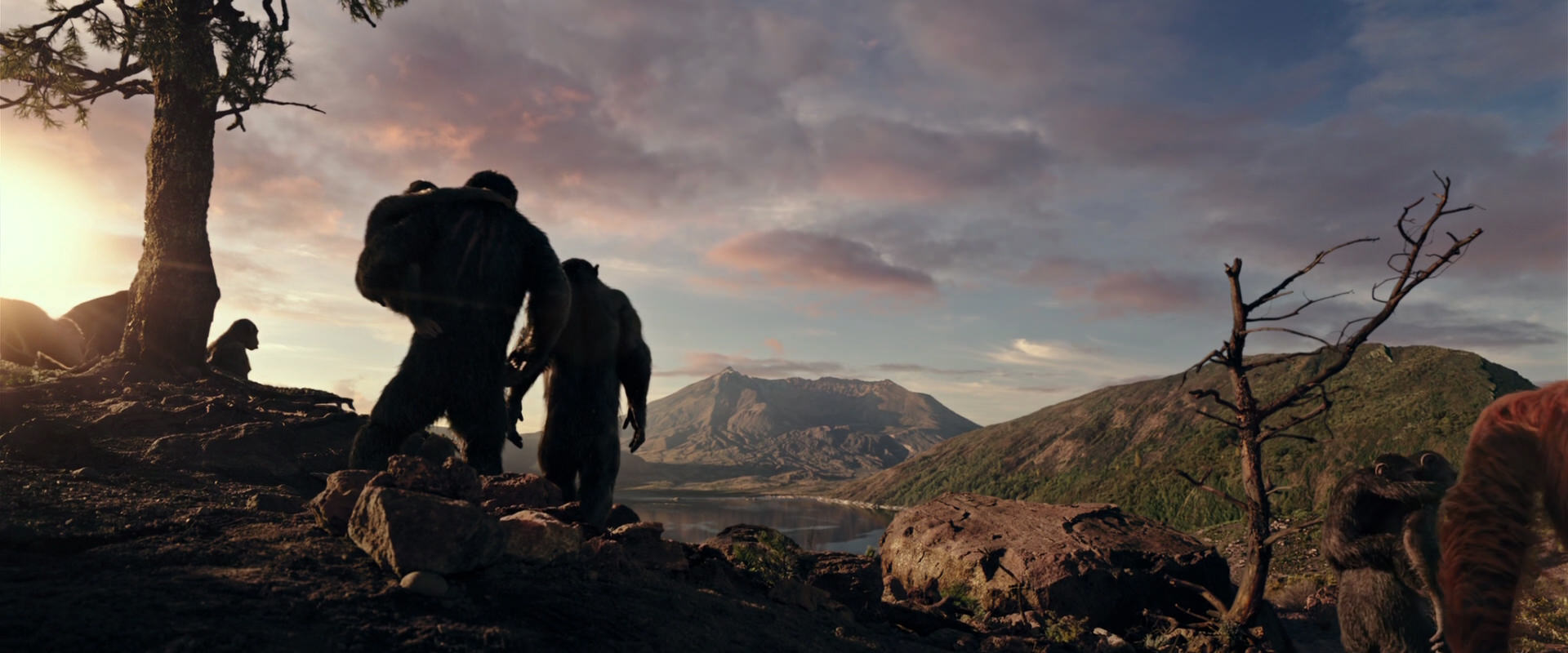 War for the Planet of the Apes (2017) HD screenshot 15044