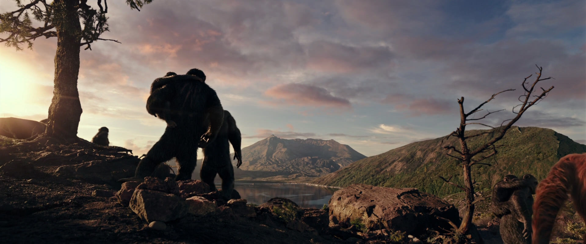 War for the Planet of the Apes (2017) screencap 15045
