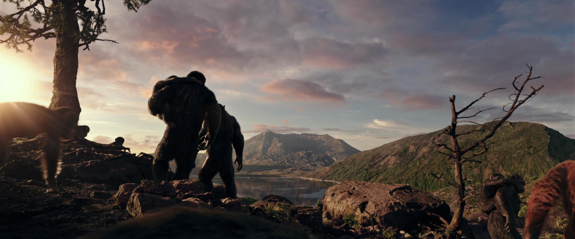War for the Planet of the Apes (2017) movie still 15046