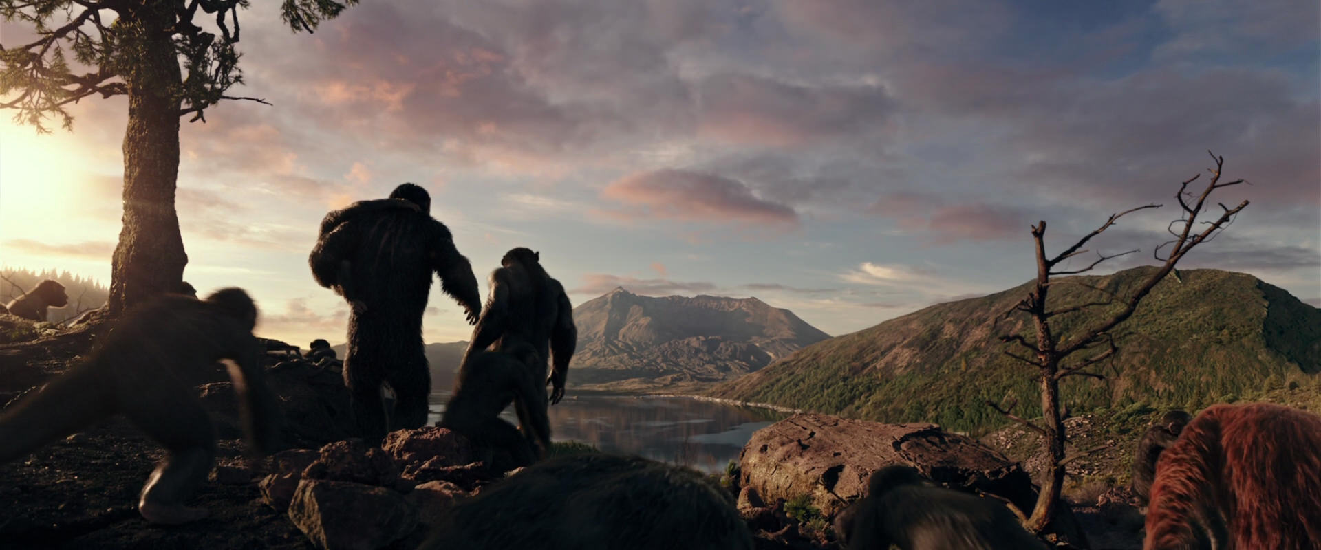 War for the Planet of the Apes (2017) screencap 15048