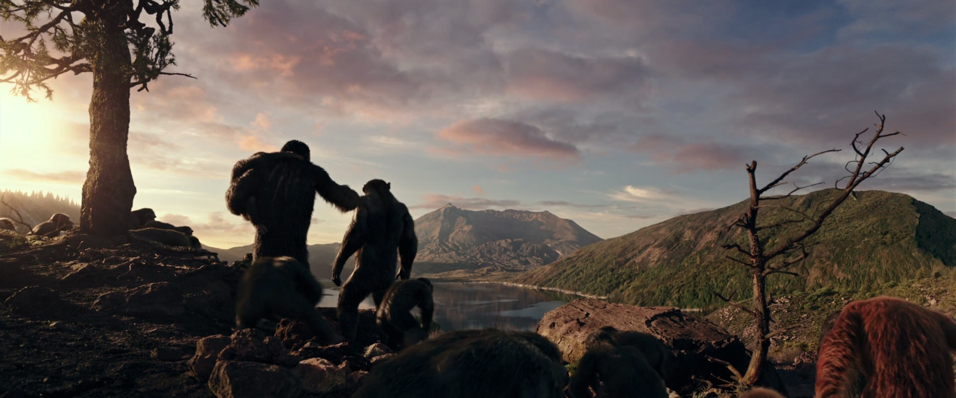 War for the Planet of the Apes (2017) movie still 15049