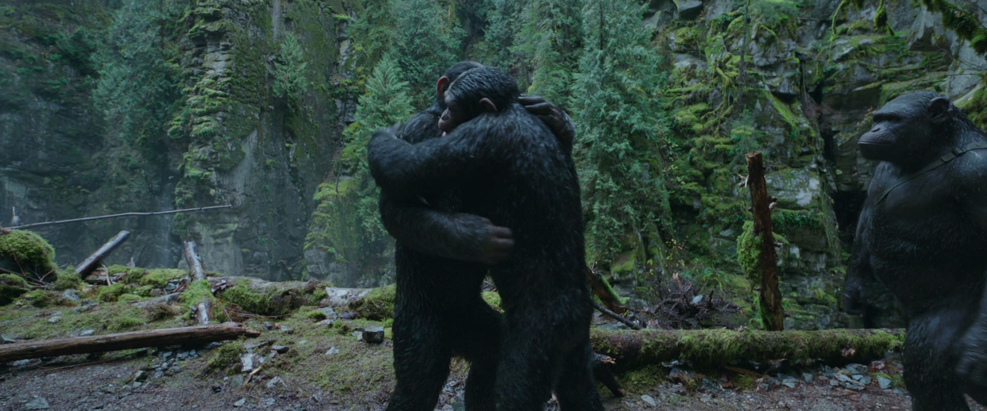 War for the Planet of the Apes (2017) HD screenshot 1505