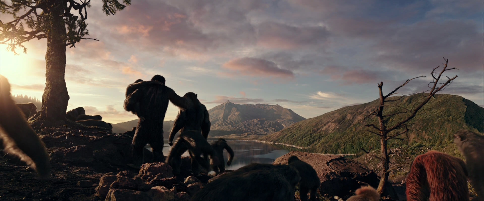 War for the Planet of the Apes (2017) HD screenshot 15050