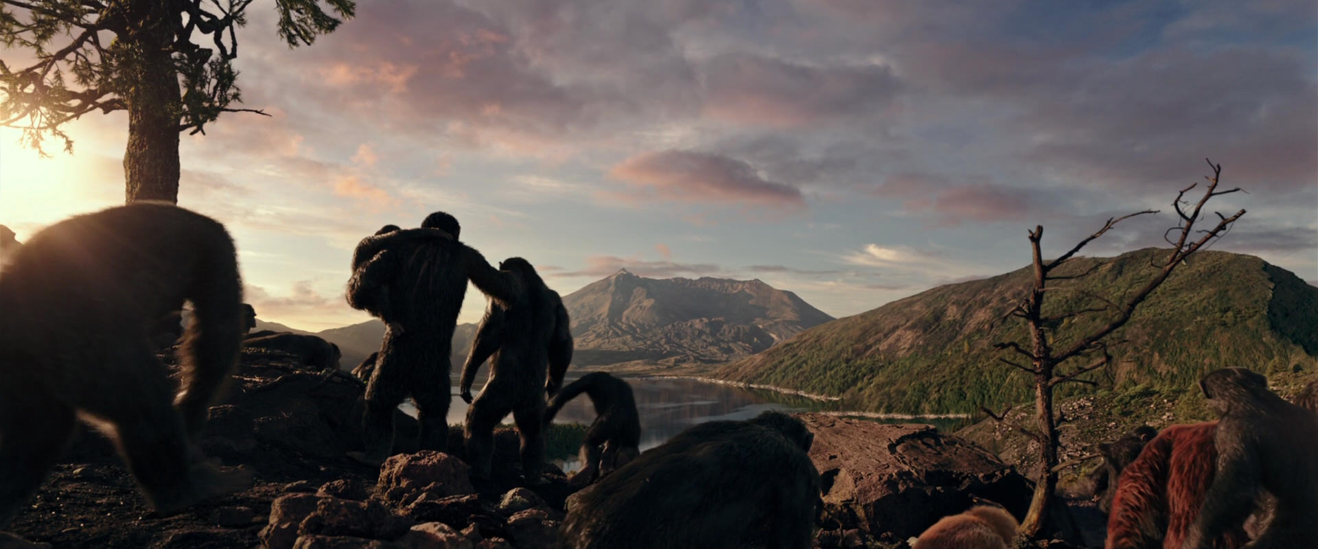 War for the Planet of the Apes (2017) screencap 15051