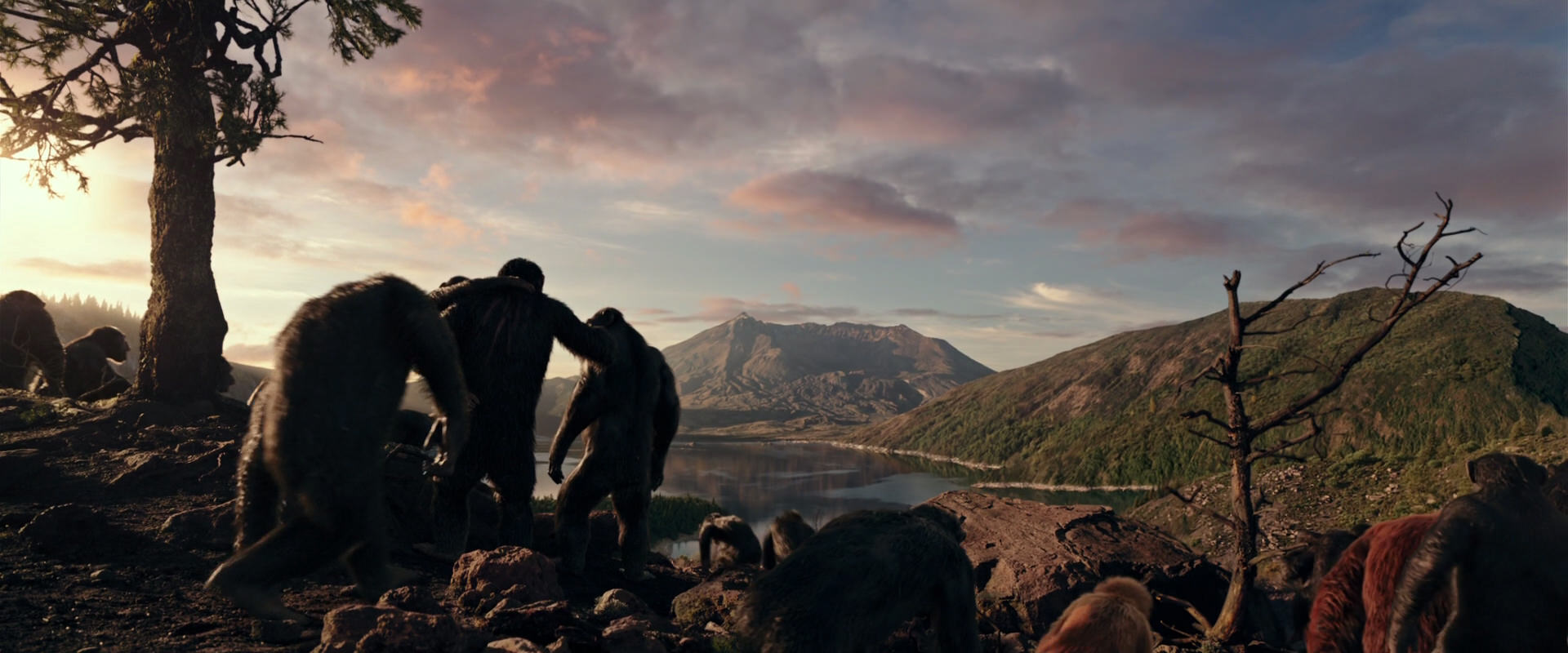 War for the Planet of the Apes (2017) movie still 15052