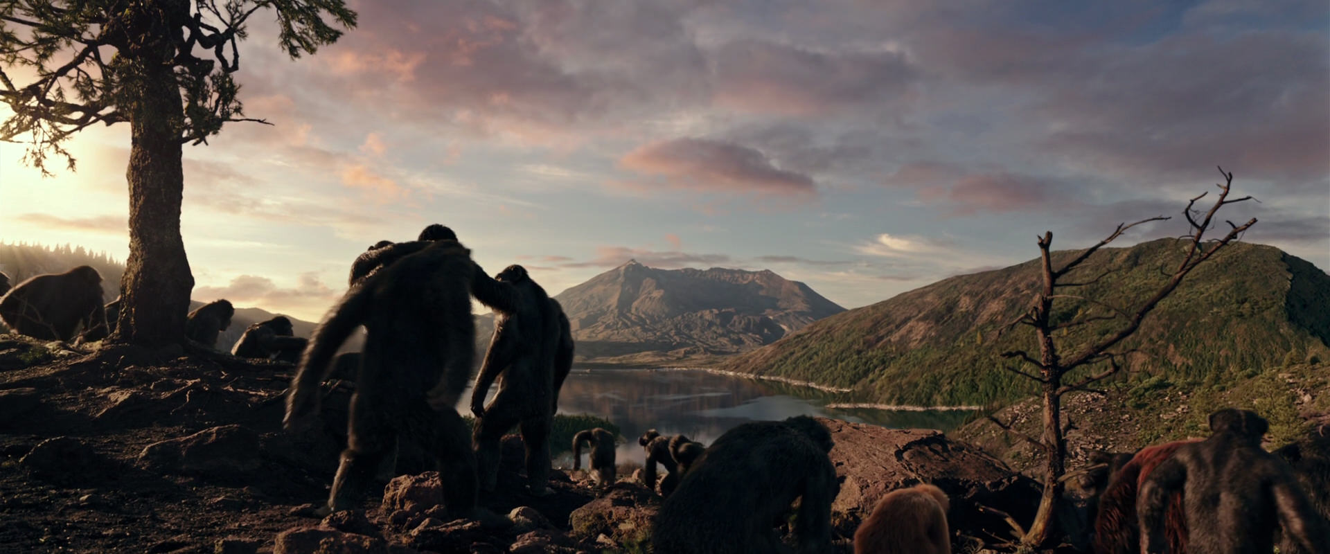 War for the Planet of the Apes (2017) HD screenshot 15053