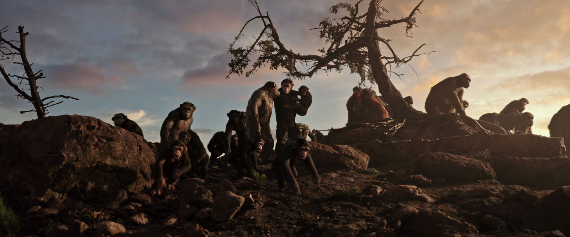 War for the Planet of the Apes (2017) screencap 15054