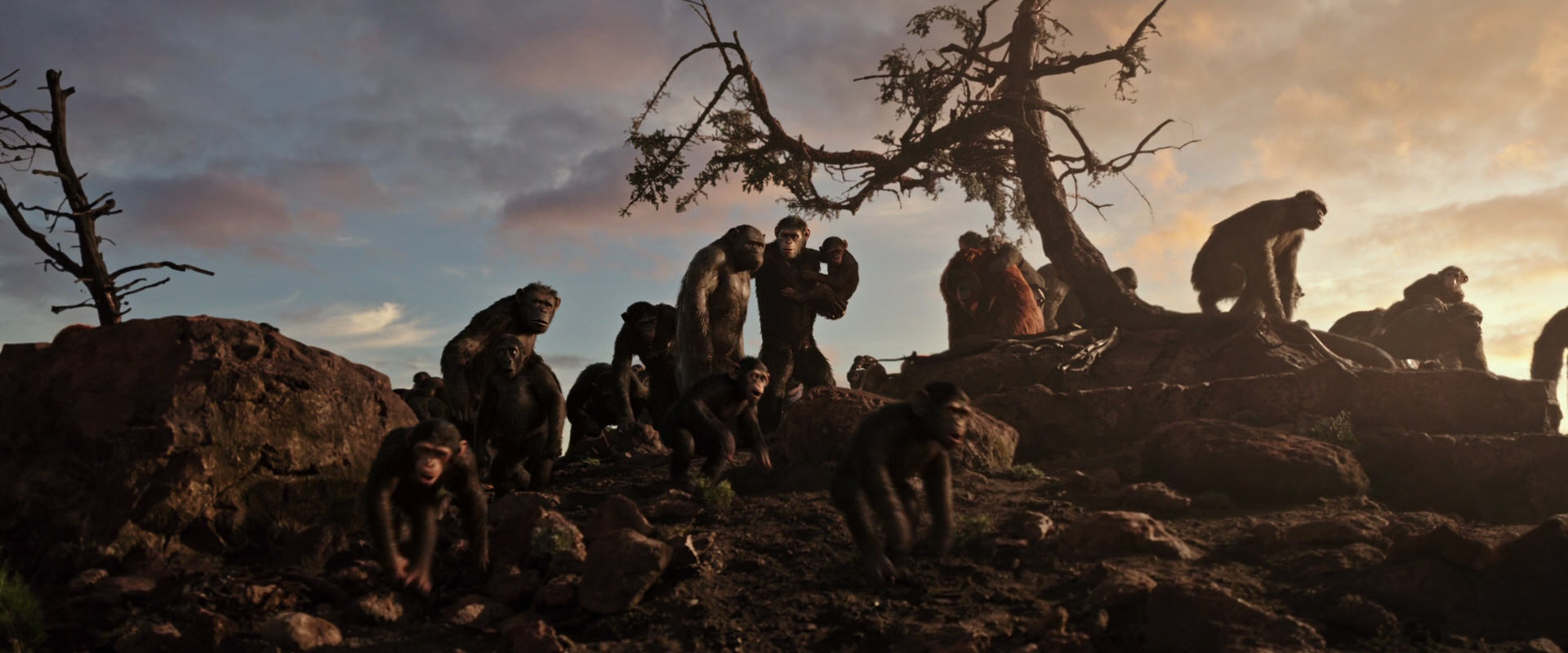 War for the Planet of the Apes (2017) movie still 15055
