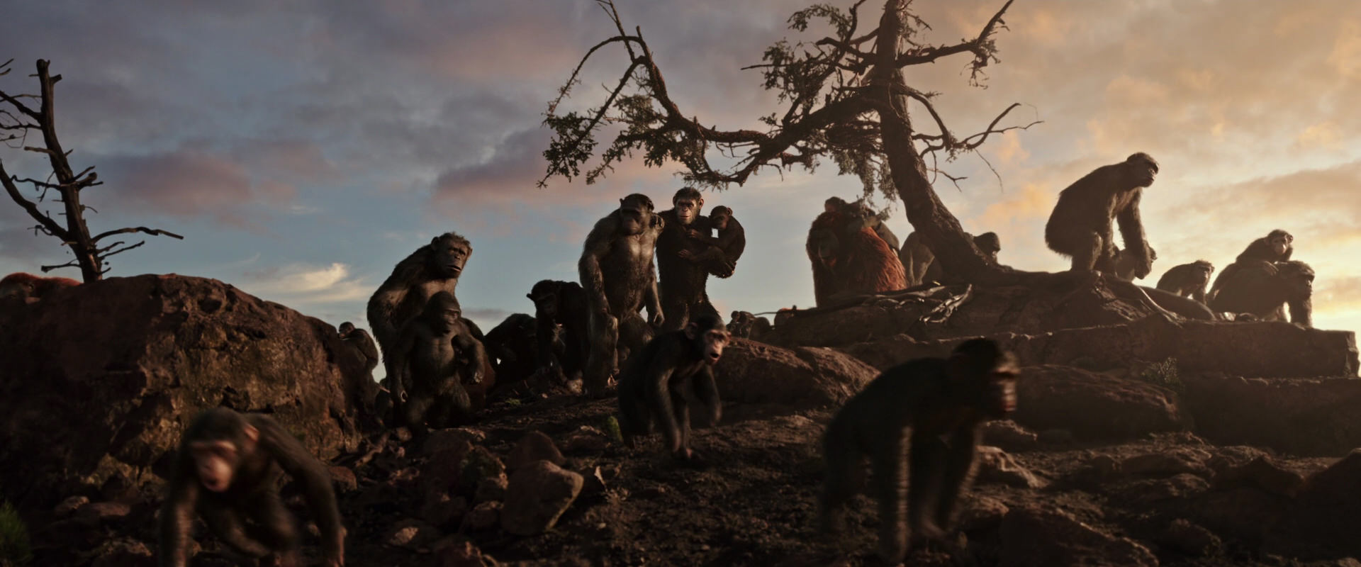 War for the Planet of the Apes (2017) HD screenshot 15056
