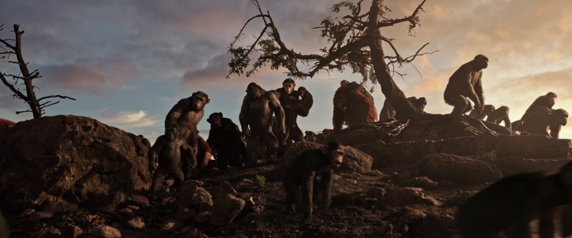 War for the Planet of the Apes (2017) screencap 15057