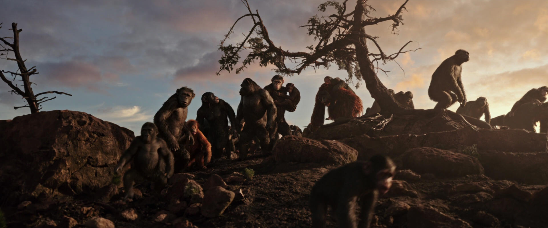 War for the Planet of the Apes (2017) movie still 15058