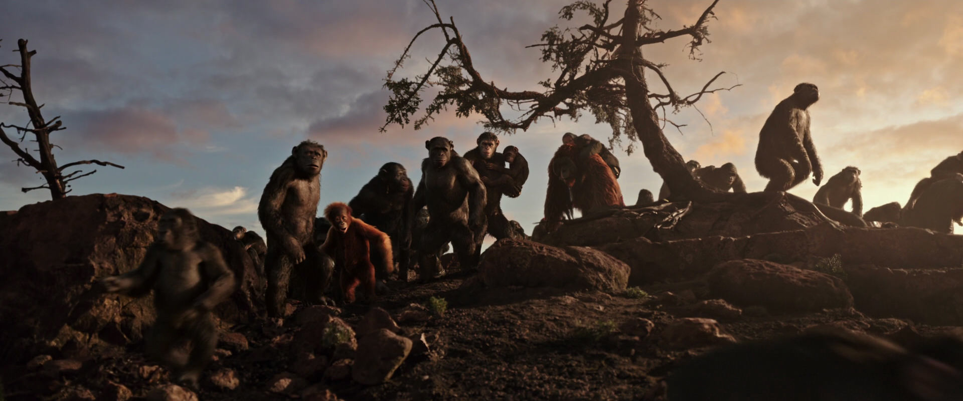 War for the Planet of the Apes (2017) HD screenshot 15059