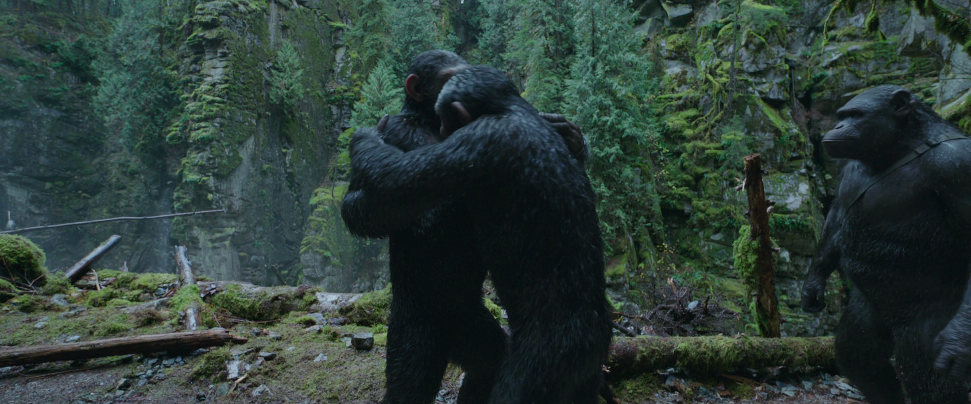 War for the Planet of the Apes (2017) screencap 1506