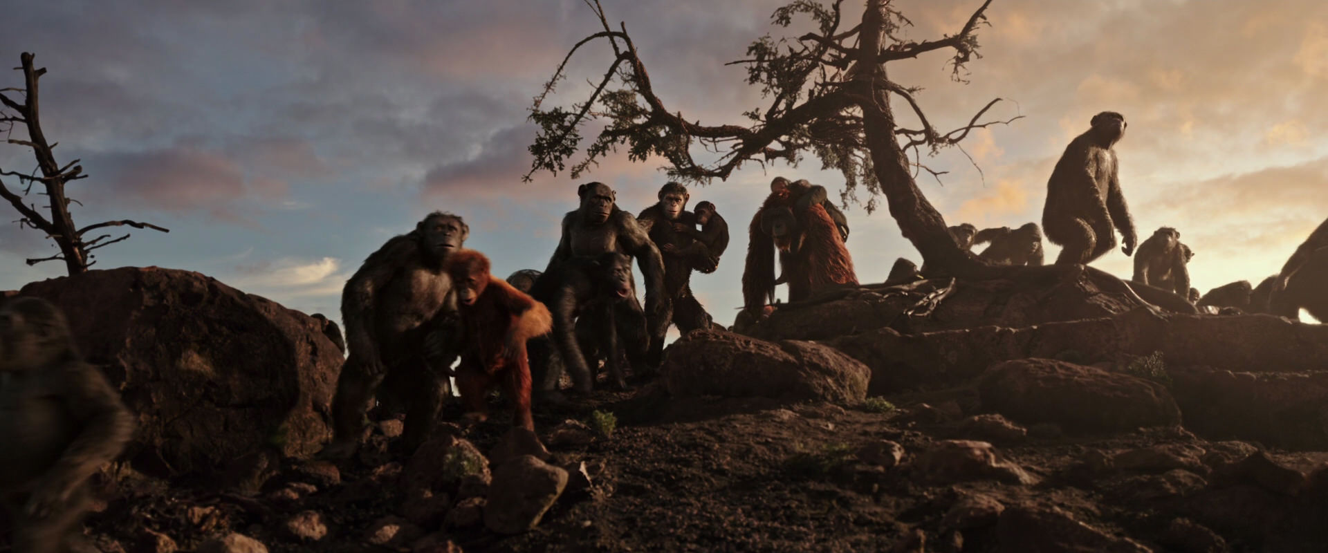 War for the Planet of the Apes (2017) screencap 15060