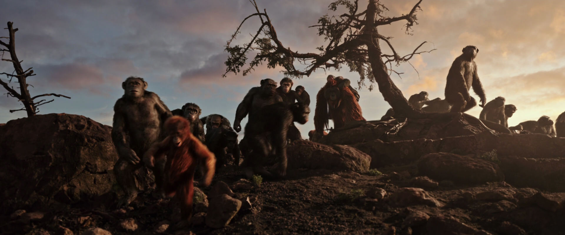 War for the Planet of the Apes (2017) movie still 15061