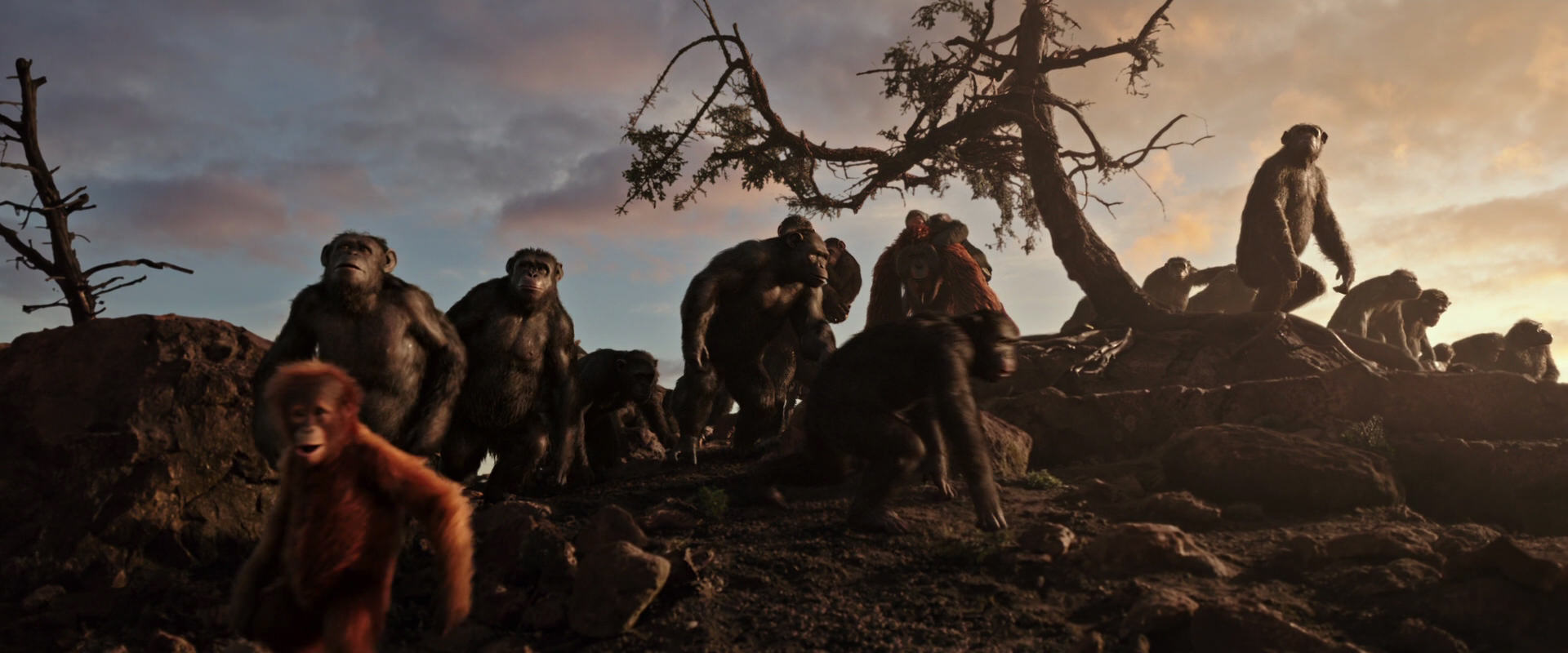 War for the Planet of the Apes (2017) HD screenshot 15062