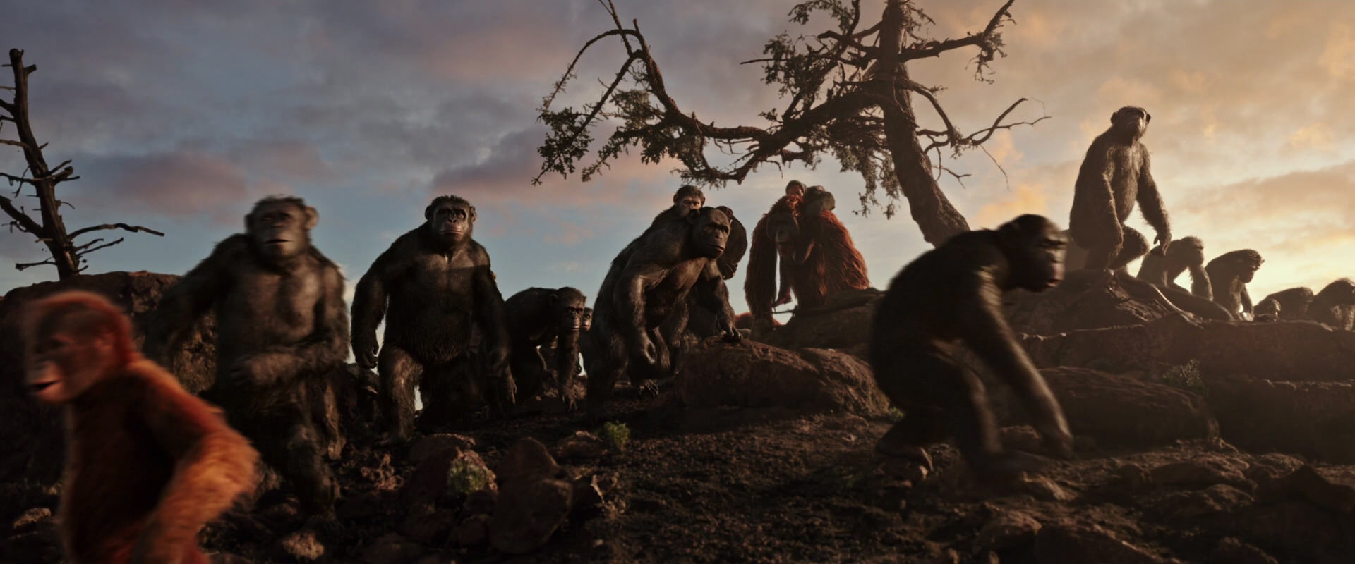 War for the Planet of the Apes (2017) screencap 15063