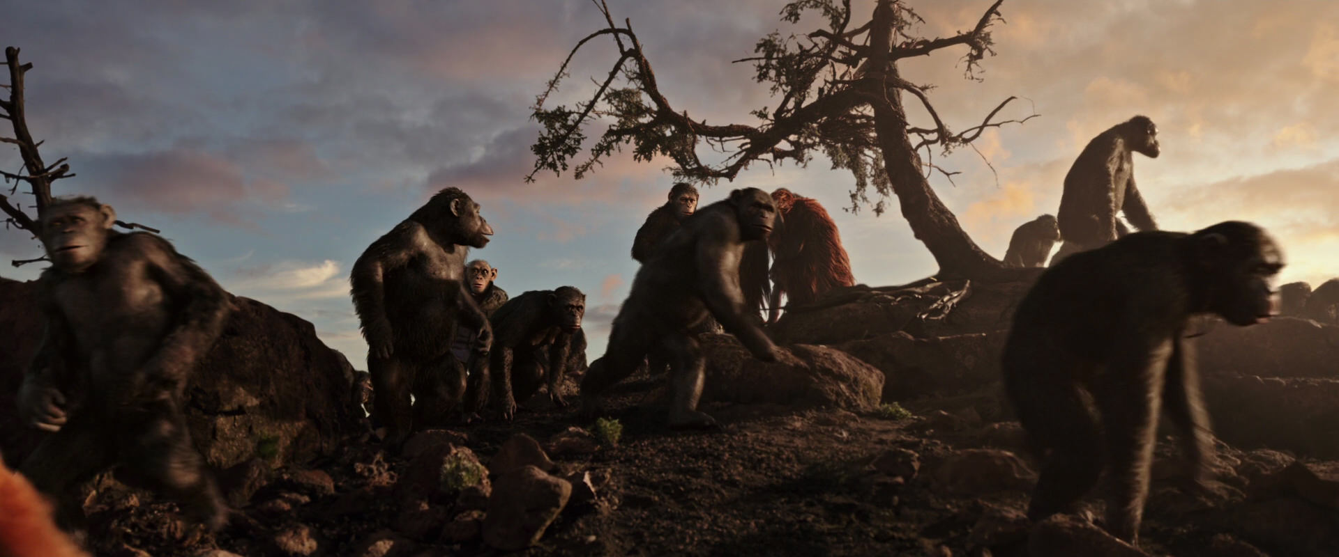 War for the Planet of the Apes (2017) movie still 15064