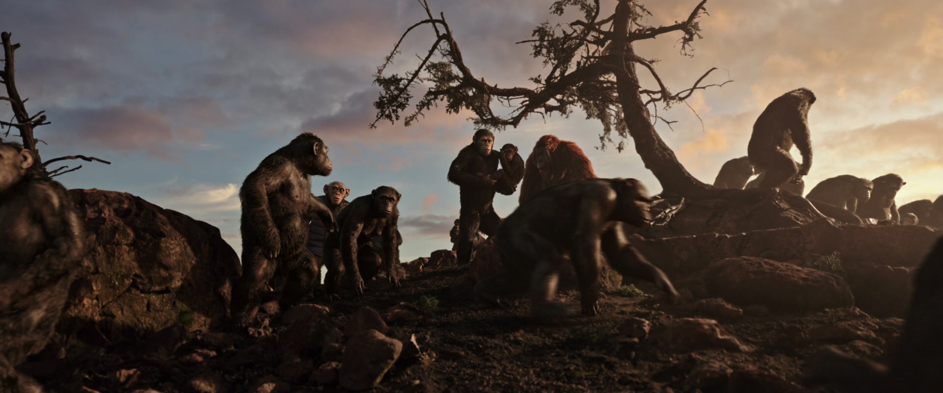 War for the Planet of the Apes (2017) HD screenshot 15065