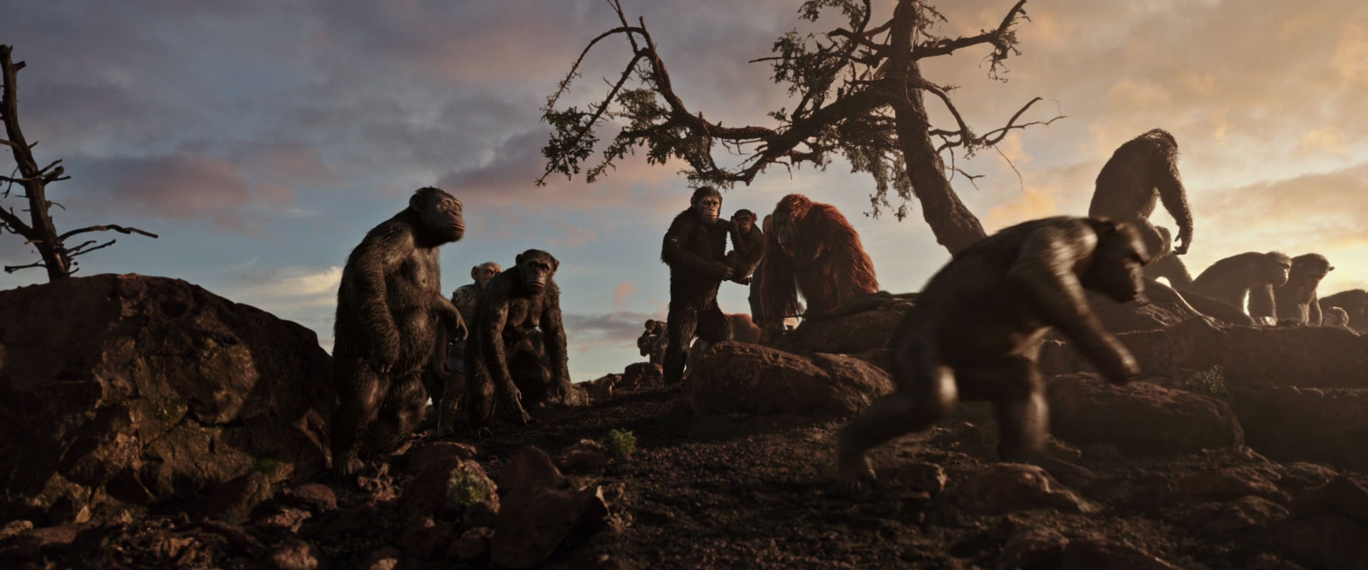 War for the Planet of the Apes (2017) screencap 15066