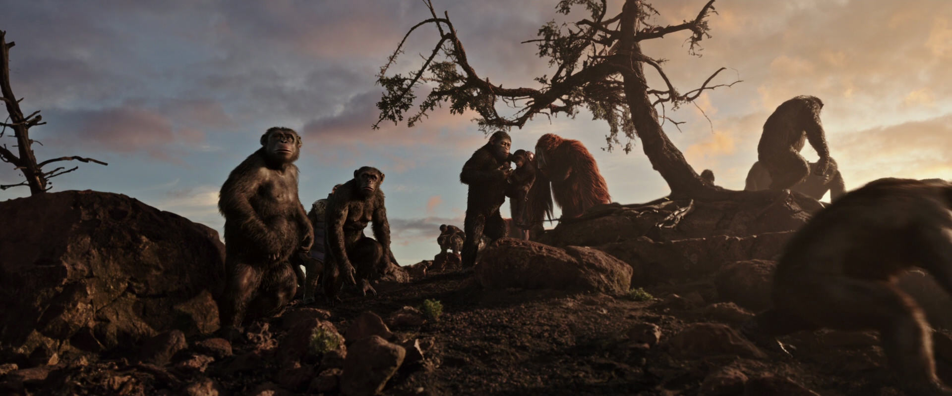 War for the Planet of the Apes (2017) movie still 15067