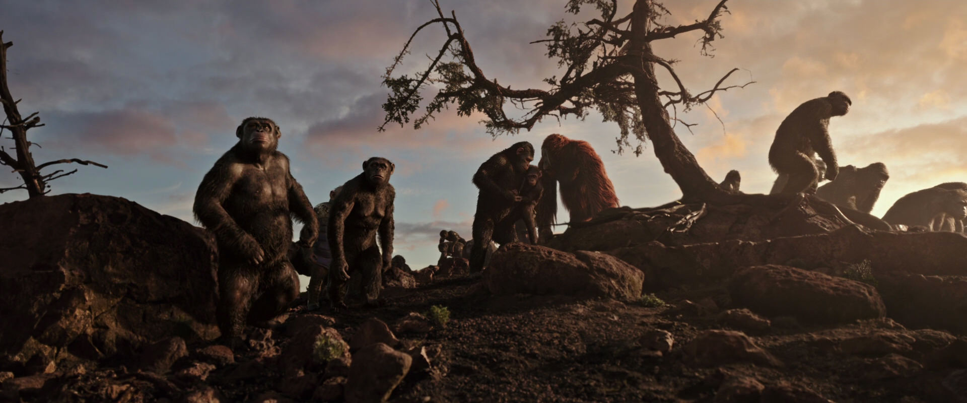 War for the Planet of the Apes (2017) HD screenshot 15068