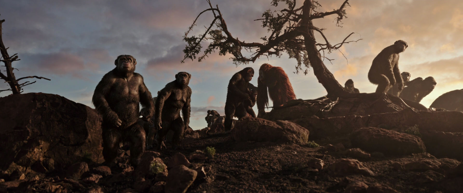 War for the Planet of the Apes (2017) screencap 15069
