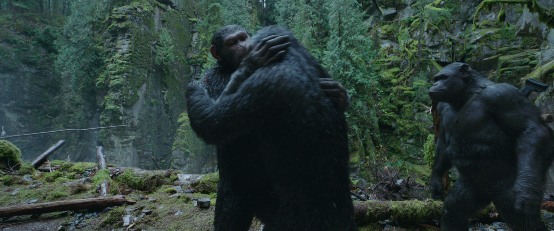 War for the Planet of the Apes (2017) movie still 1507