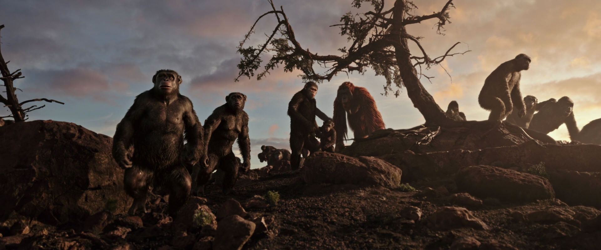 War for the Planet of the Apes (2017) movie still 15070