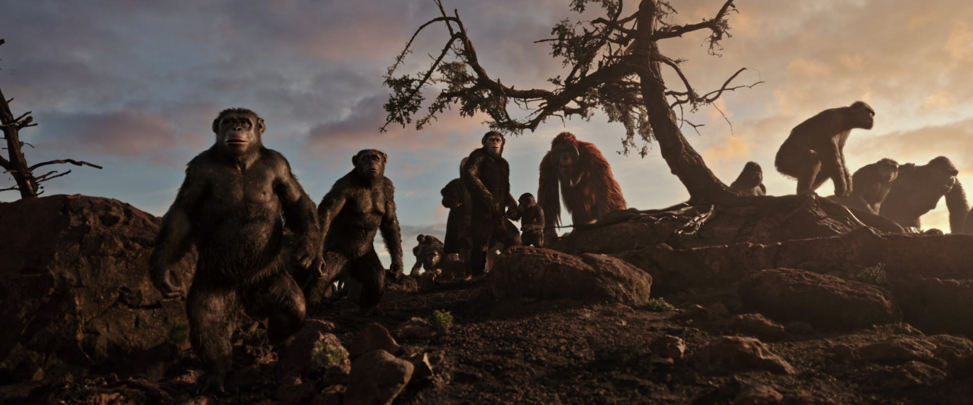 War for the Planet of the Apes (2017) HD screenshot 15071