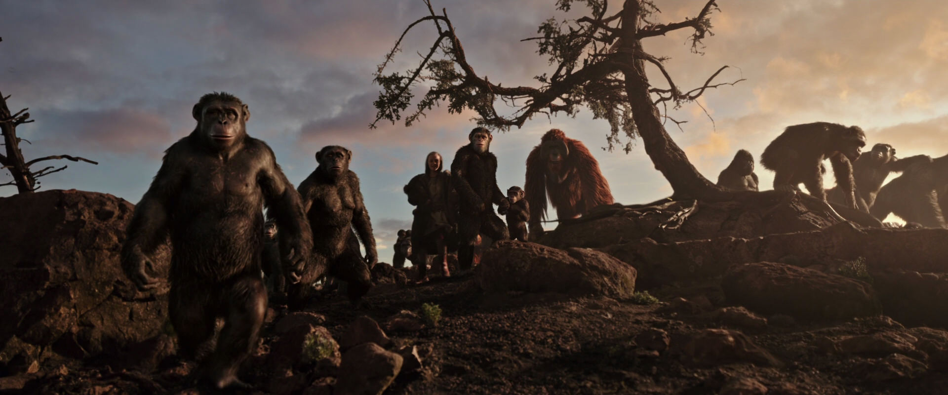 War for the Planet of the Apes (2017) screencap 15072