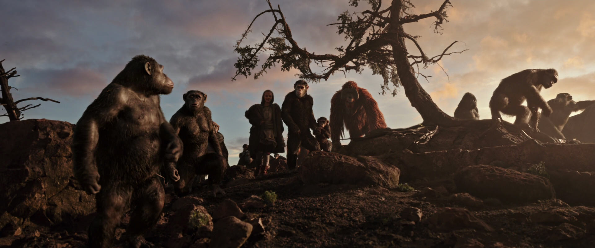 War for the Planet of the Apes (2017) movie still 15073