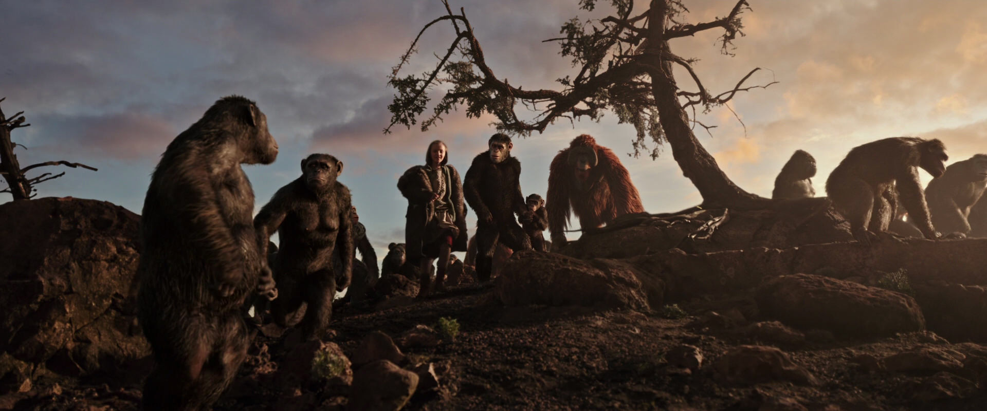 War for the Planet of the Apes (2017) HD screenshot 15074