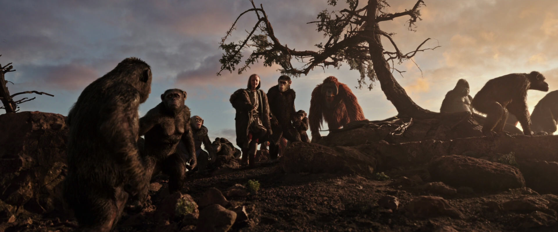 War for the Planet of the Apes (2017) screencap 15075