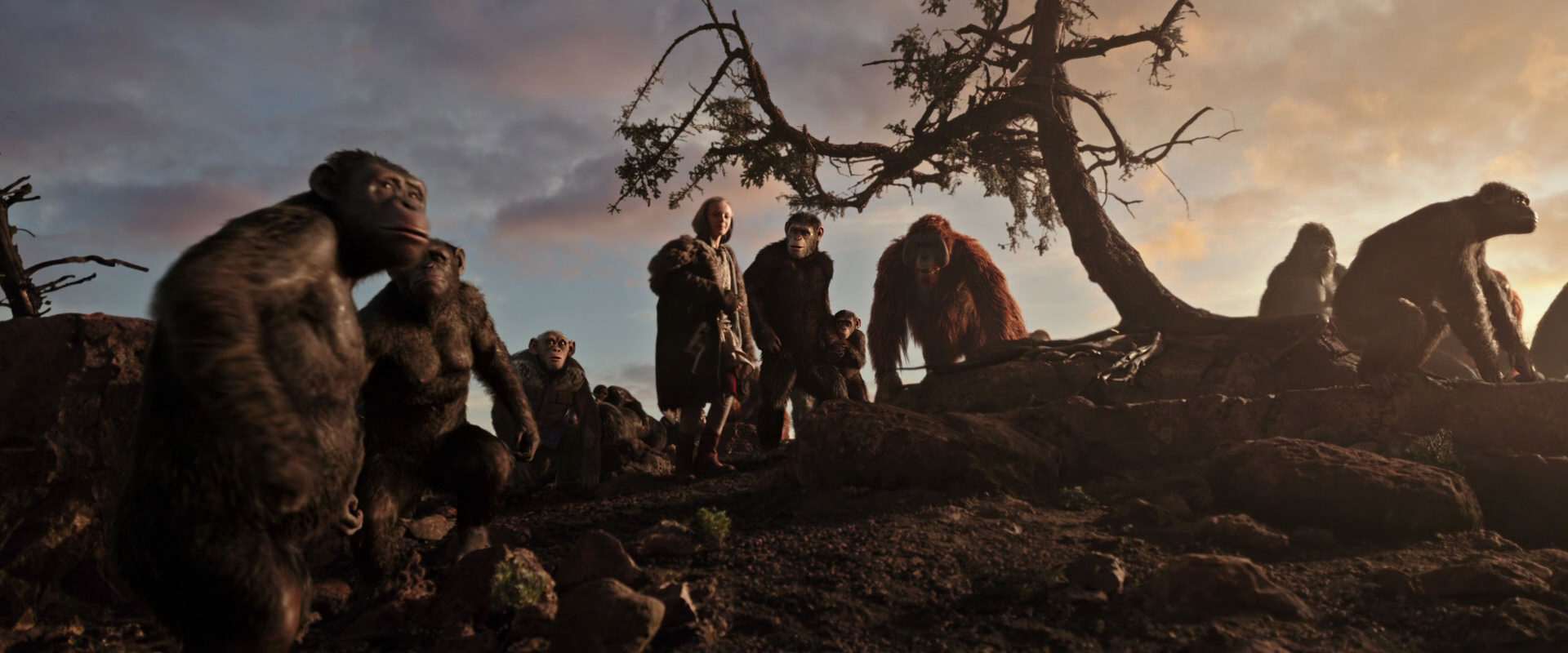 War for the Planet of the Apes (2017) movie still 15076