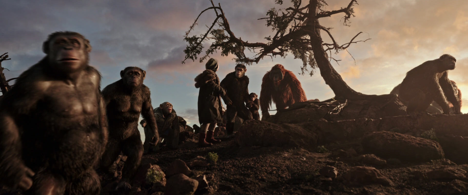 War for the Planet of the Apes (2017) HD screenshot 15077