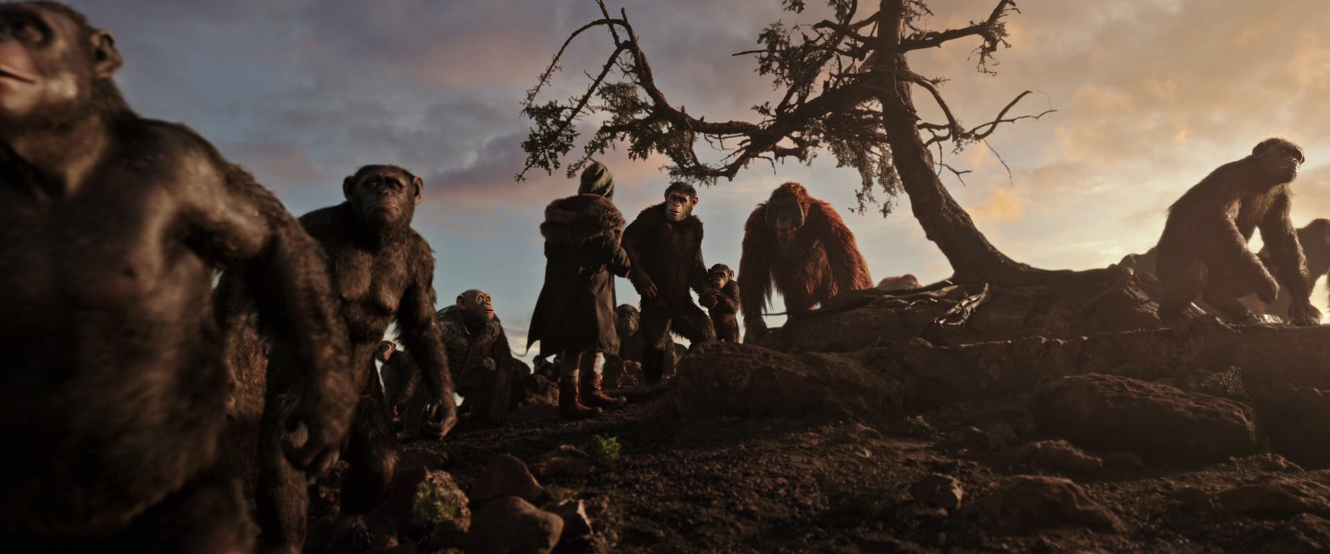 War for the Planet of the Apes (2017) screencap 15078