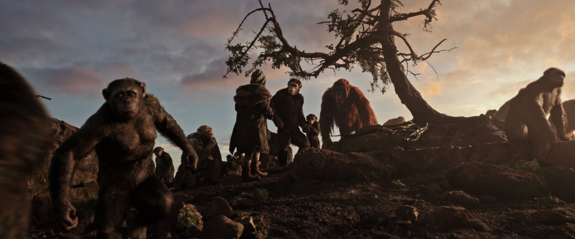 War for the Planet of the Apes (2017) movie still 15079