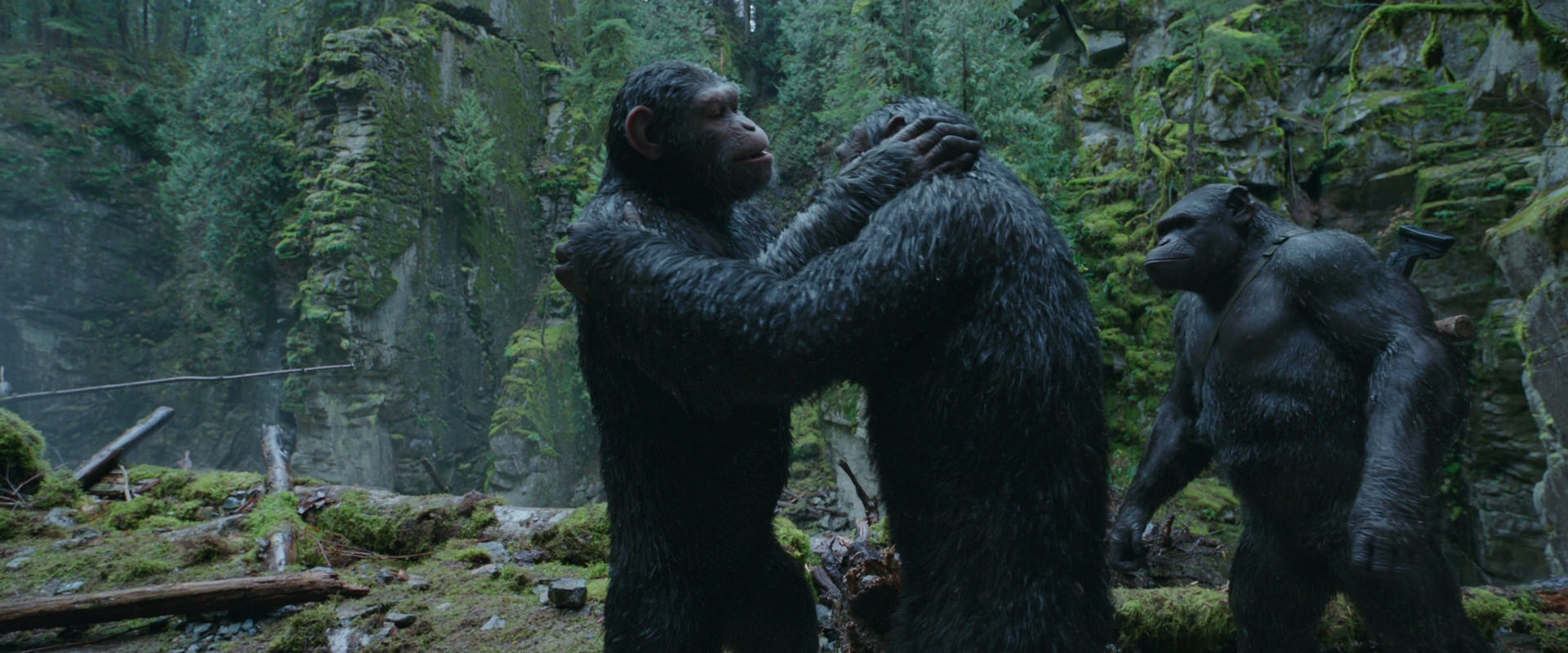 War for the Planet of the Apes (2017) HD screenshot 1508