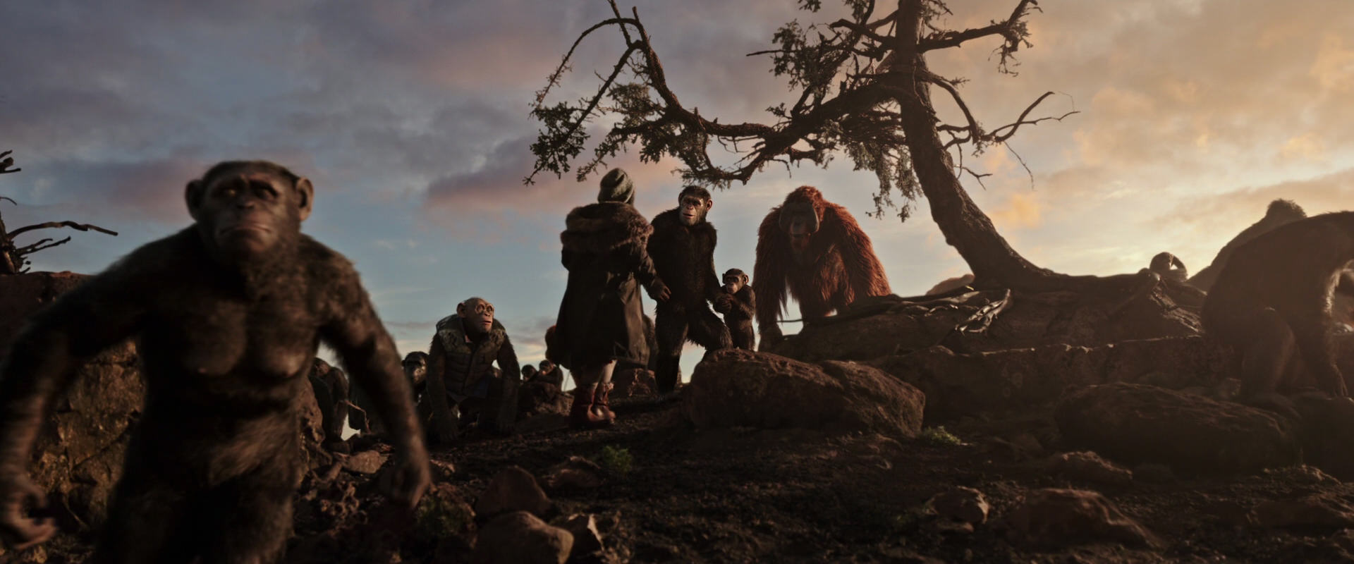 War for the Planet of the Apes (2017) HD screenshot 15080
