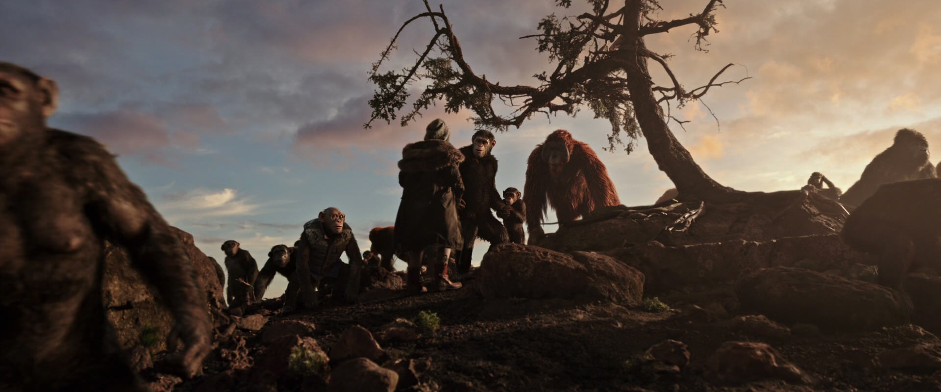 War for the Planet of the Apes (2017) screencap 15081
