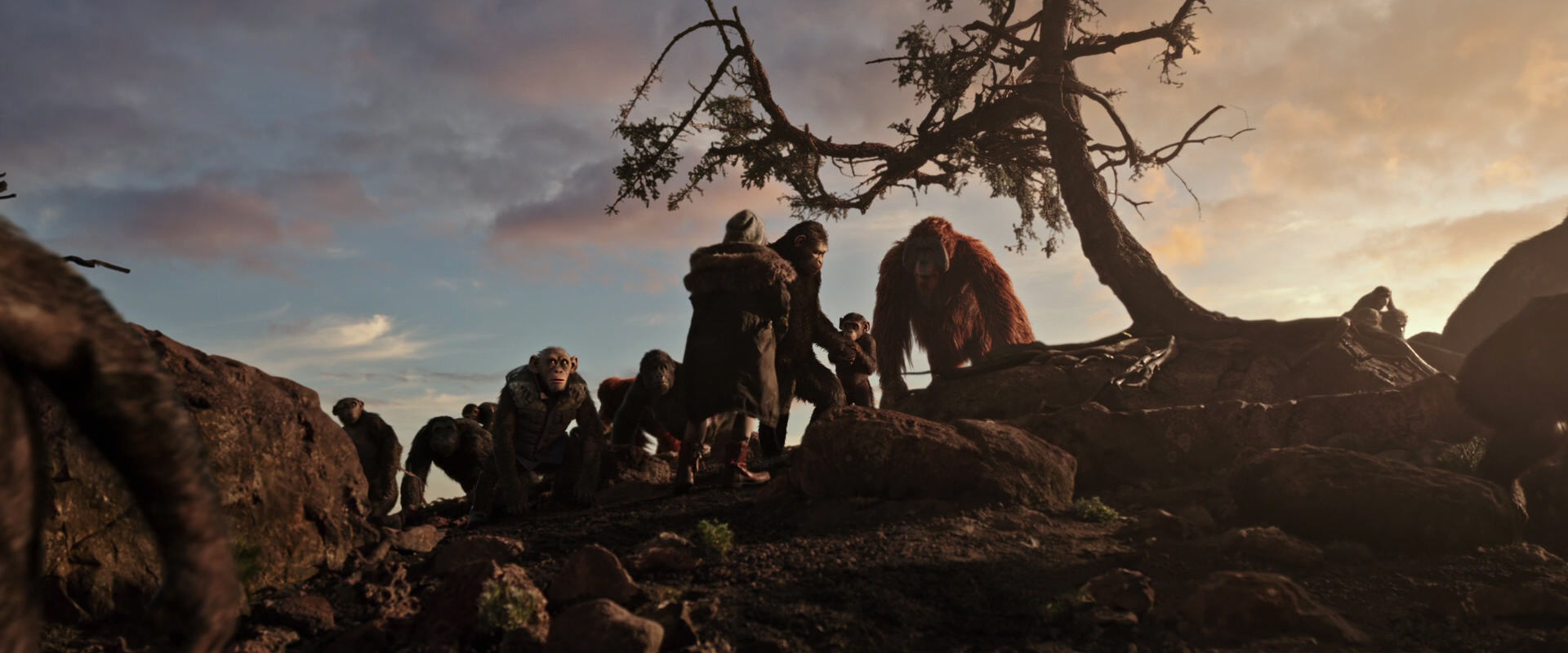 War for the Planet of the Apes (2017) movie still 15082
