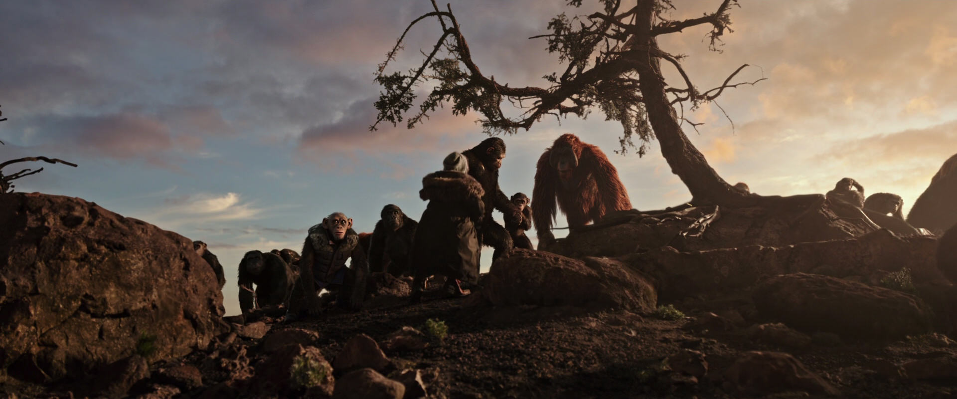 War for the Planet of the Apes (2017) HD screenshot 15083