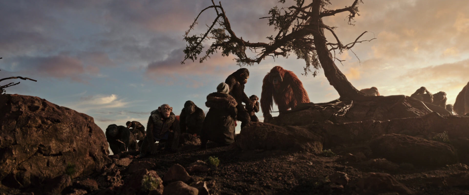 War for the Planet of the Apes (2017) screencap 15084