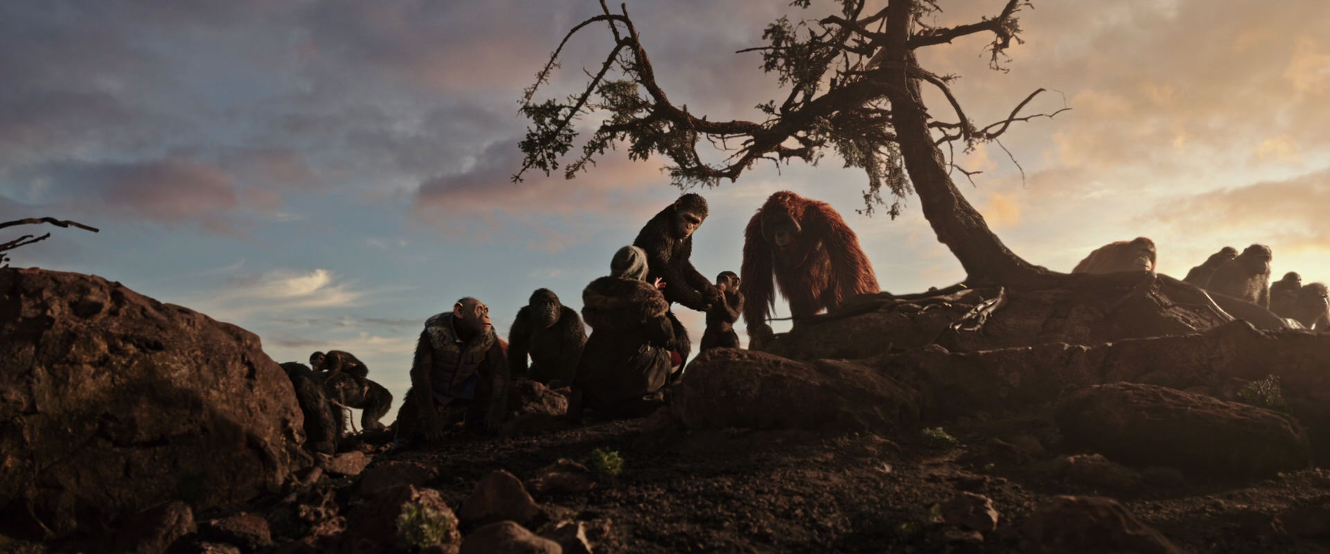 War for the Planet of the Apes (2017) HD screenshot 15086