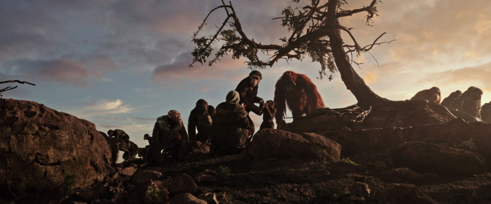 War for the Planet of the Apes (2017) screencap 15087