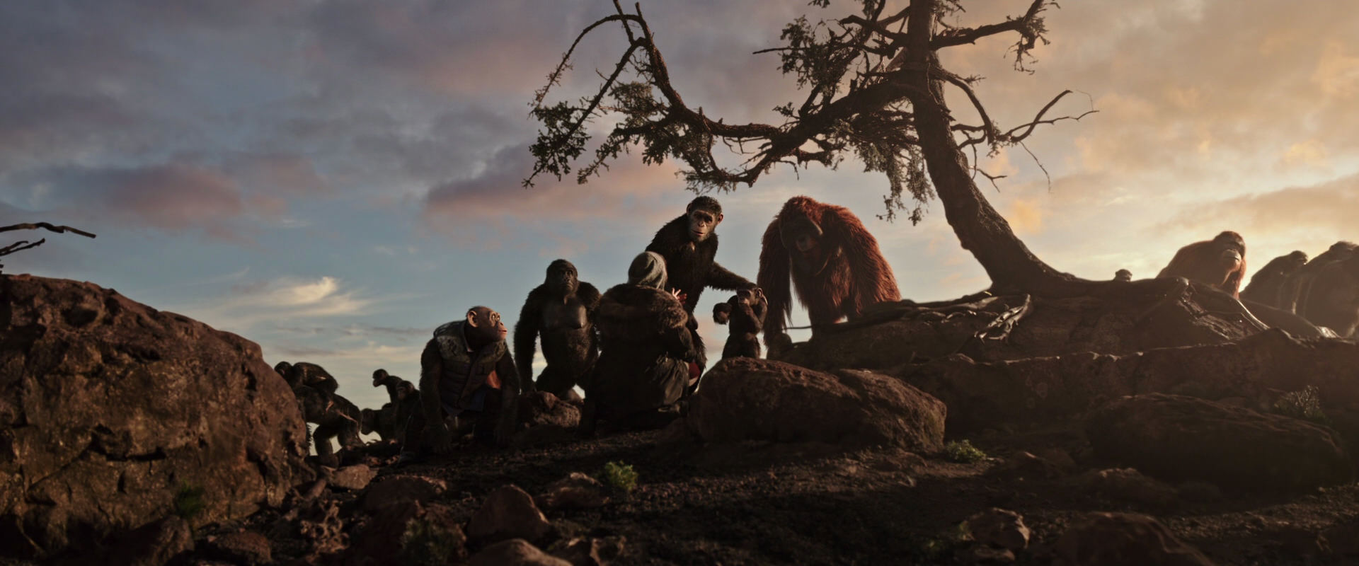War for the Planet of the Apes (2017) movie still 15088