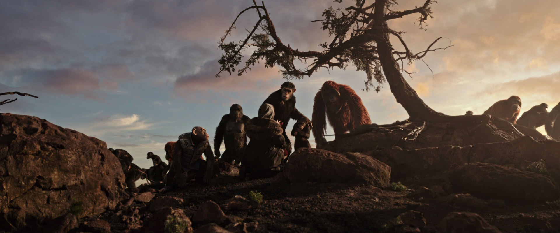 War for the Planet of the Apes (2017) HD screenshot 15089
