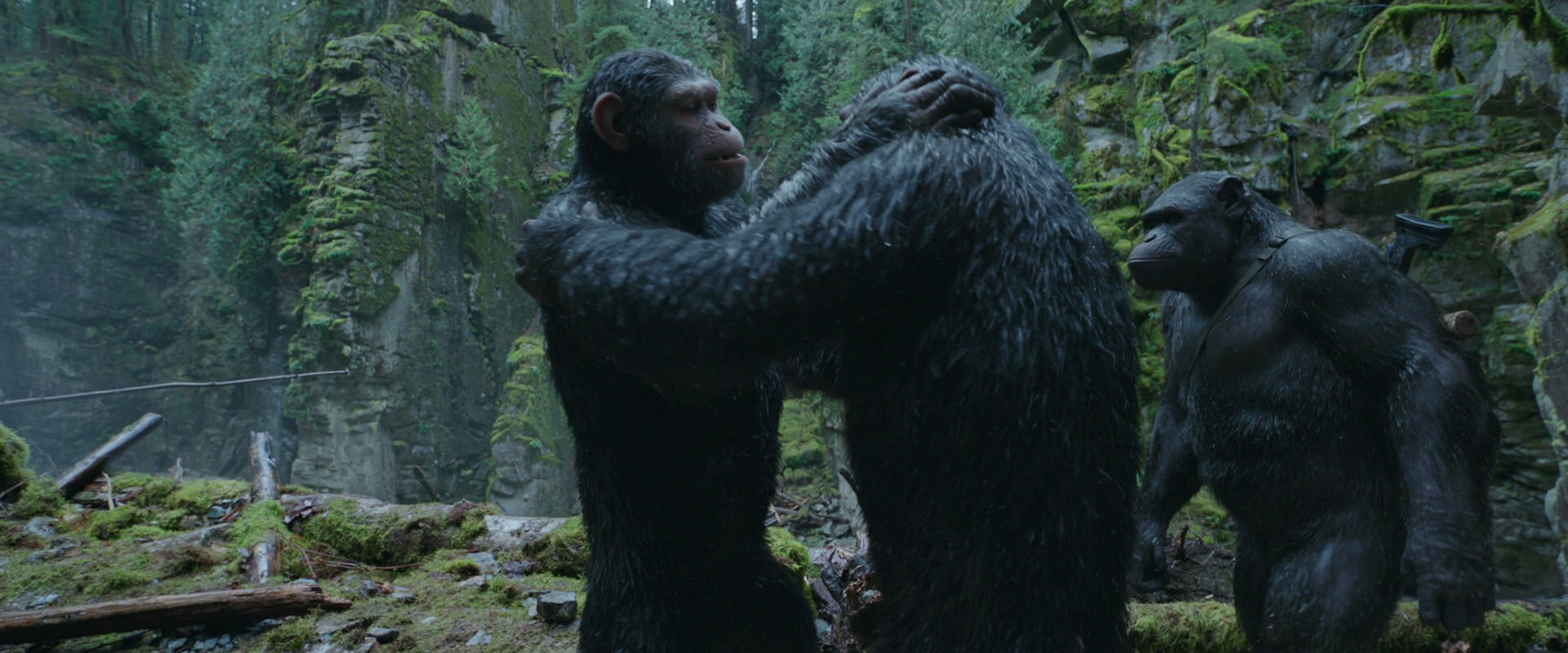 War for the Planet of the Apes (2017) screencap 1509