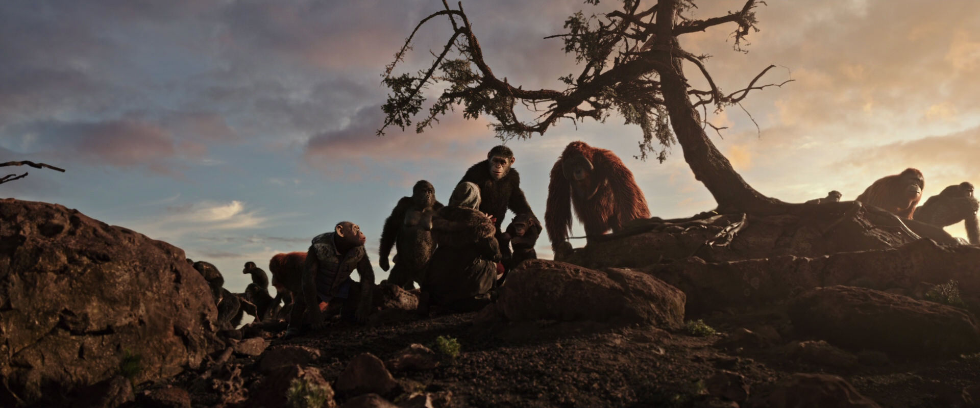 War for the Planet of the Apes (2017) screencap 15090